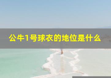 公牛1号球衣的地位是什么