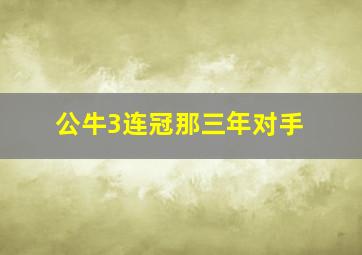 公牛3连冠那三年对手