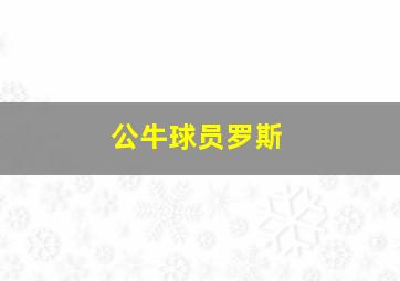 公牛球员罗斯