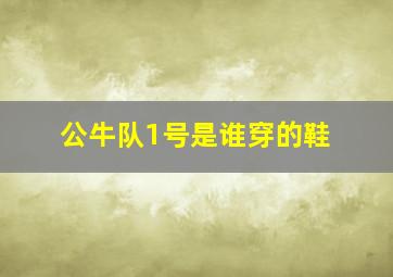 公牛队1号是谁穿的鞋