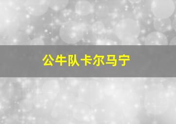 公牛队卡尔马宁