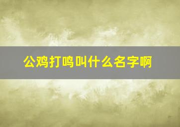 公鸡打鸣叫什么名字啊