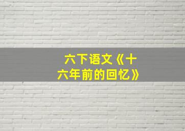 六下语文《十六年前的回忆》