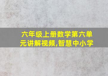 六年级上册数学第六单元讲解视频,智慧中小学