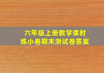 六年级上册数学课时练小卷期末测试卷答案