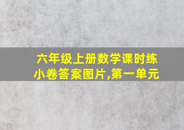 六年级上册数学课时练小卷答案图片,第一单元