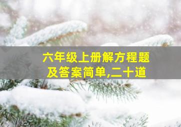 六年级上册解方程题及答案简单,二十道