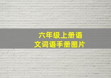 六年级上册语文词语手册图片