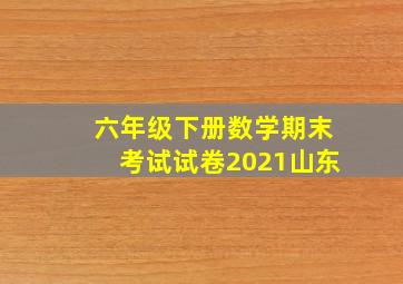 六年级下册数学期末考试试卷2021山东