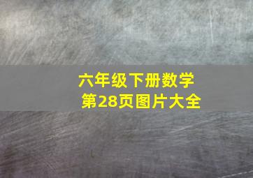 六年级下册数学第28页图片大全