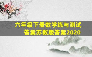 六年级下册数学练与测试答案苏教版答案2020