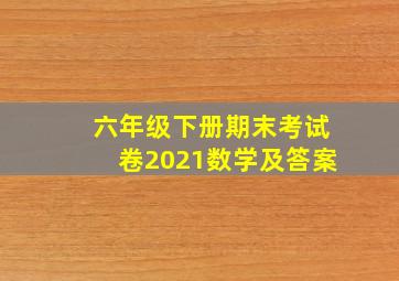 六年级下册期末考试卷2021数学及答案