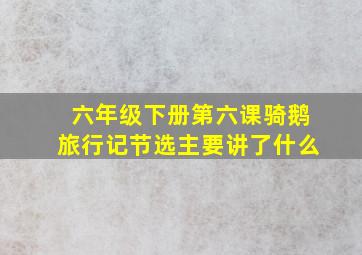 六年级下册第六课骑鹅旅行记节选主要讲了什么