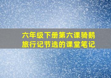 六年级下册第六课骑鹅旅行记节选的课堂笔记