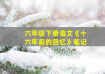 六年级下册语文《十六年前的回忆》笔记