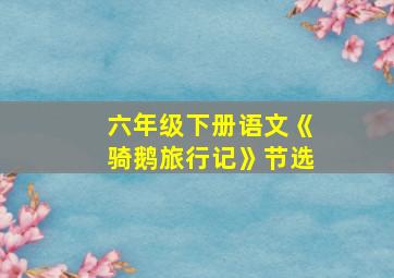 六年级下册语文《骑鹅旅行记》节选