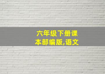 六年级下册课本部编版,语文