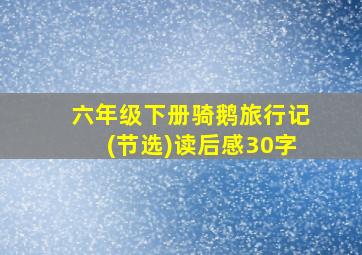 六年级下册骑鹅旅行记(节选)读后感30字