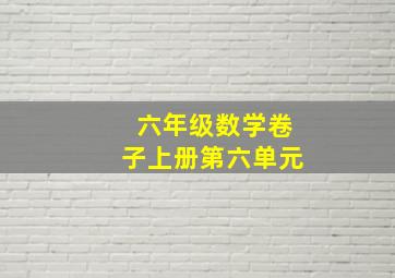 六年级数学卷子上册第六单元