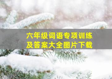 六年级词语专项训练及答案大全图片下载