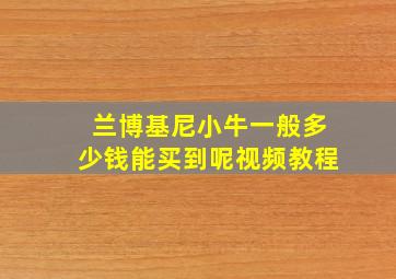 兰博基尼小牛一般多少钱能买到呢视频教程