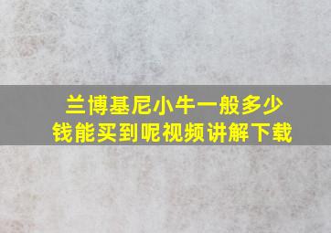 兰博基尼小牛一般多少钱能买到呢视频讲解下载