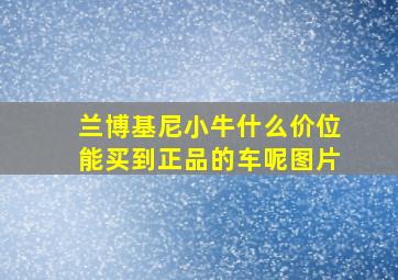 兰博基尼小牛什么价位能买到正品的车呢图片