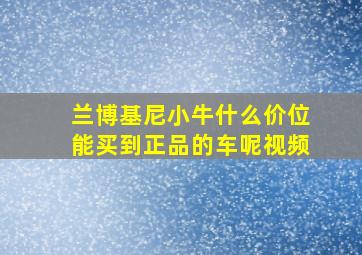 兰博基尼小牛什么价位能买到正品的车呢视频