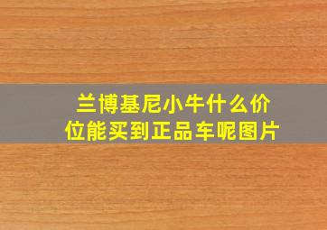 兰博基尼小牛什么价位能买到正品车呢图片