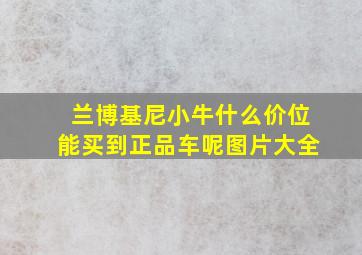 兰博基尼小牛什么价位能买到正品车呢图片大全