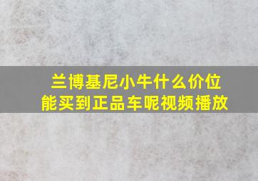 兰博基尼小牛什么价位能买到正品车呢视频播放