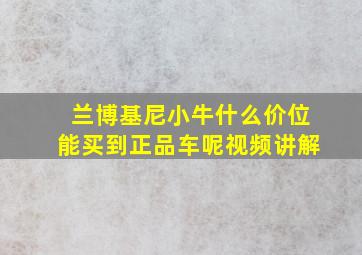 兰博基尼小牛什么价位能买到正品车呢视频讲解