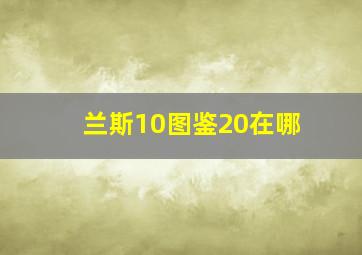 兰斯10图鉴20在哪