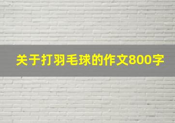 关于打羽毛球的作文800字