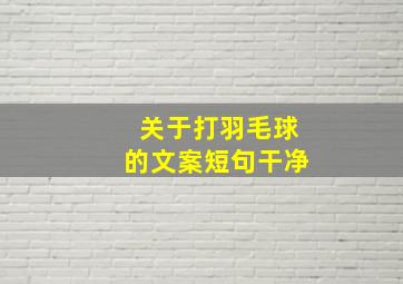 关于打羽毛球的文案短句干净