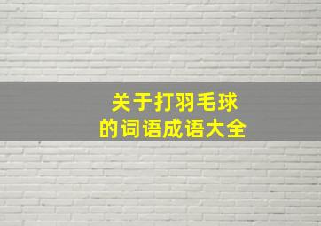 关于打羽毛球的词语成语大全