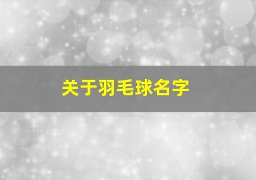 关于羽毛球名字