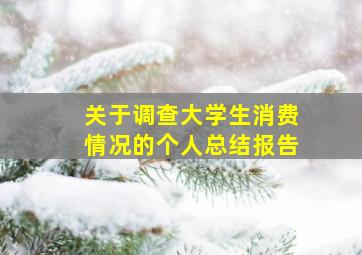 关于调查大学生消费情况的个人总结报告