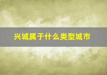 兴城属于什么类型城市