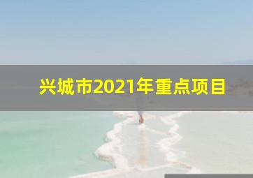 兴城市2021年重点项目