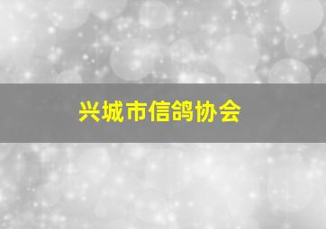 兴城市信鸽协会