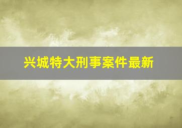 兴城特大刑事案件最新