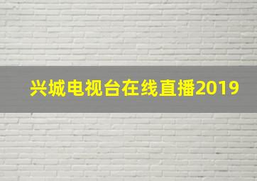 兴城电视台在线直播2019