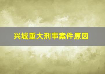 兴城重大刑事案件原因