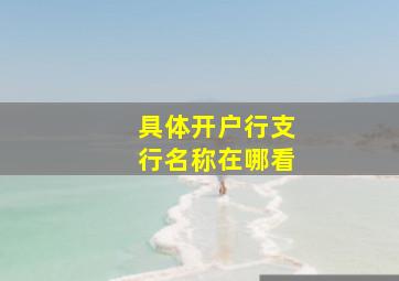 具体开户行支行名称在哪看