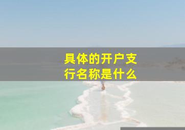 具体的开户支行名称是什么