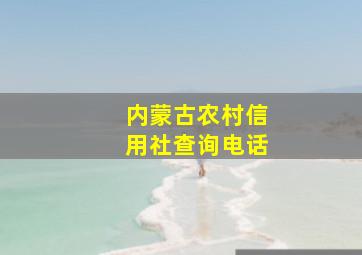 内蒙古农村信用社查询电话