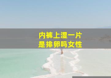 内裤上湿一片是排卵吗女性