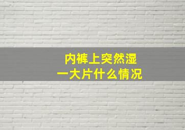 内裤上突然湿一大片什么情况