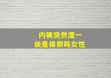 内裤突然湿一块是排卵吗女性